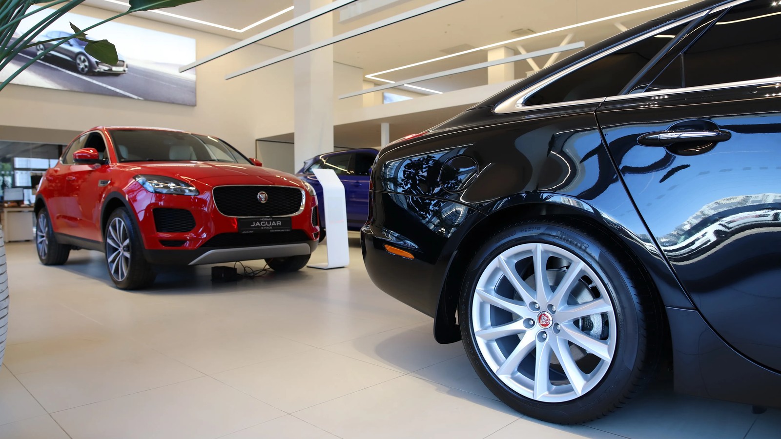 РОЛЬФ Ясенево Jaguar